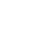 FPGA-transparencia